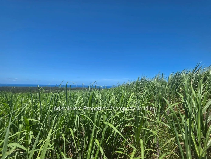 Large Agricultural Land for Sale 