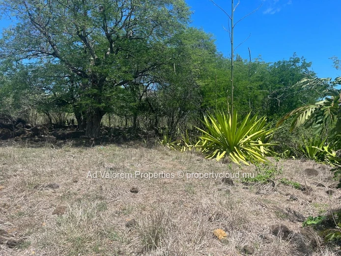 Land for sale in Black River.