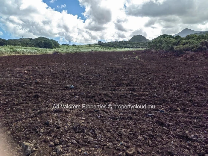 Large Agricultural Land for Sale – Martinière, Surinam – Panoramic Views & Natural Setting