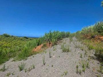 Agricultural Land