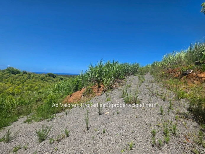 Large Agricultural Land for Sale 