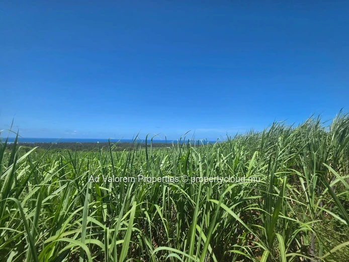 Large Agricultural Land for Sale 