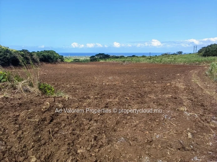 Large Agricultural Land for Sale – Martinière, Surinam – Panoramic Views & Natural Setting