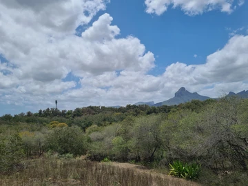 Residential Land