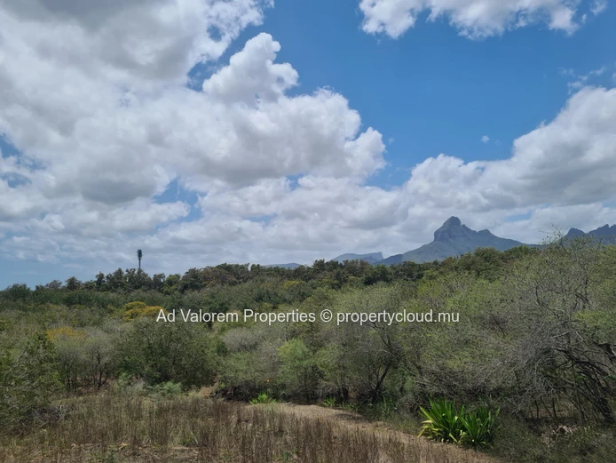 Residential land for sale in Tamarin 