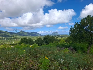 Residential Land