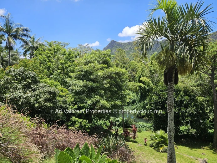 Freehold Contemporary House - 180 m2, 3 bedrooms, 2 bathrooms | Moka
