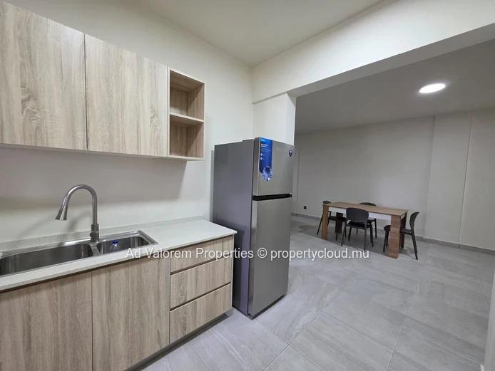 Appartement Moderne À Louer À Trianon
