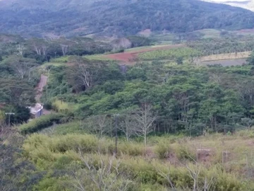 Agricultural Land