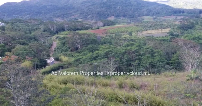 Agicultural land for sale in Chamarel!