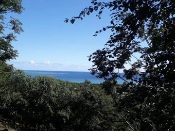 Residential Land