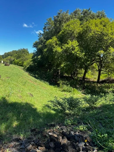 ?? Exceptional Plot of Land – Domaine de Palmyre, Rivière Noire
