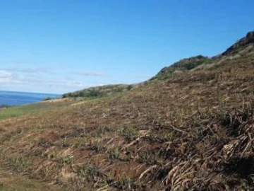 Agricultural Land