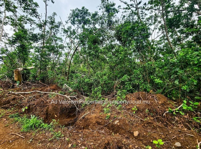 Agicultural land for sale in Chamarel!