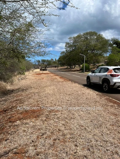 Land for sale in Black River