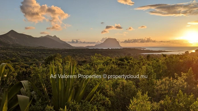 For Sale – Exceptional 4,431 m² Plot in Petite Rivière Noire