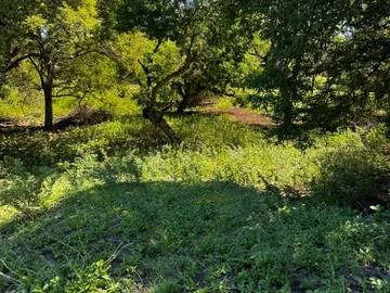 Residential Land