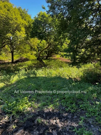 ?? Exceptional Plot of Land – Domaine de Palmyre, Rivière Noire
