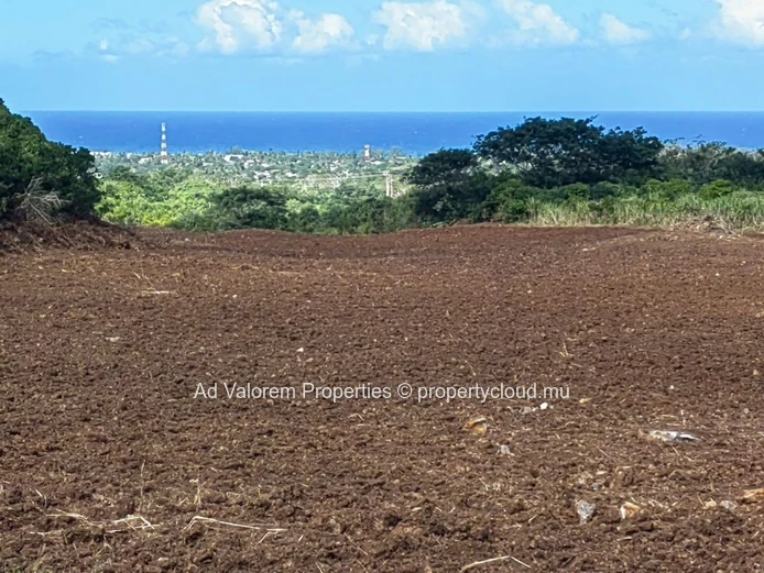 Large Agricultural Land for Sale – Martinière, Surinam – Panoramic Views & Natural Setting