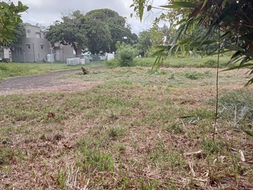 Residential Land