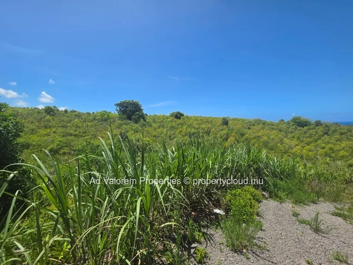 Large Agricultural Land for Sale 