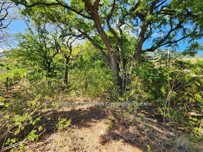 For Sale, spacious Plot in a Peaceful Residential Area