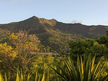 Residential Land