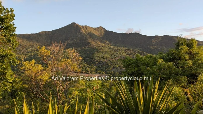 For Sale – Exceptional 4,431 m² Plot in Petite Rivière Noire