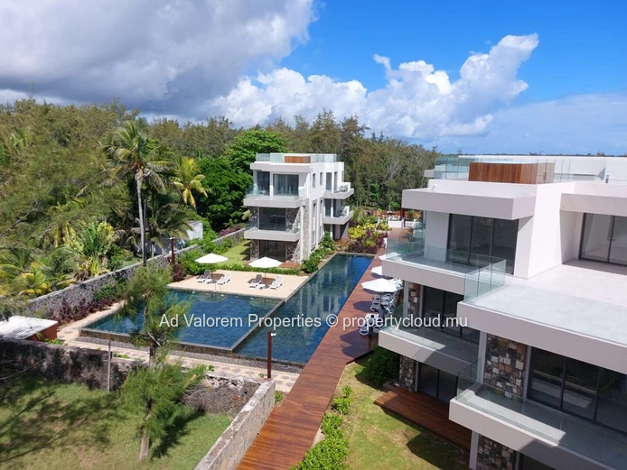Beachfront Penthouse Living in Poste Lafayette - Available Now !