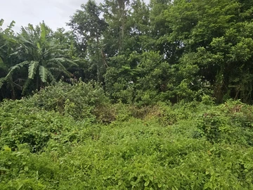 Residential Land