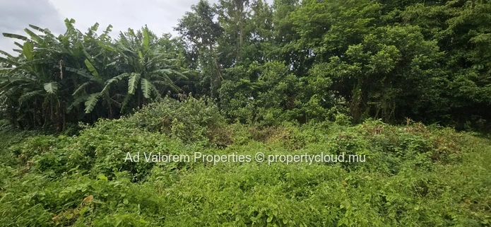 Land for Sale – Floréal