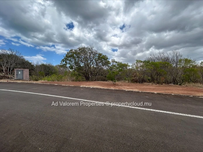 Prime Plot for Sale in Domaine Palmyre
