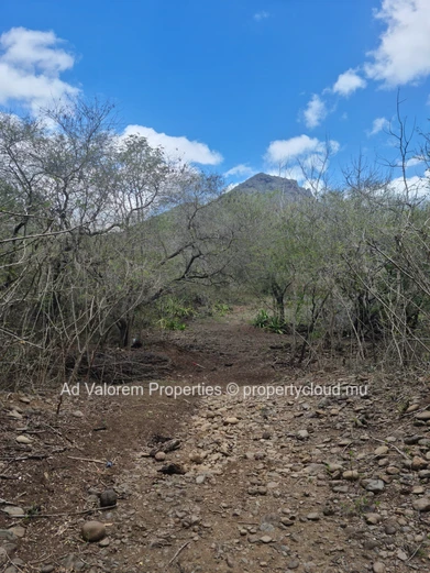 Residential land for sale in Tamarin 