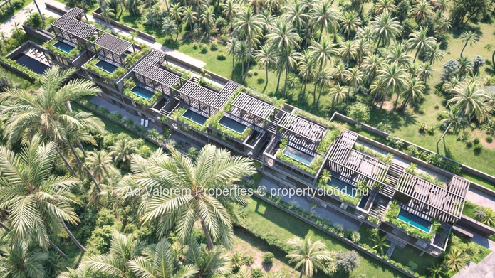 Exceptional 3-Bedroom Apartments in Roches Noires – Just 100m from the Beach