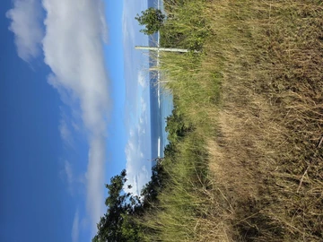 Agricultural Land