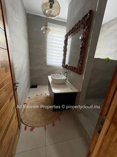 Beautiful House for Sale in Albion – Rooftop Sea View | Fully Furnished