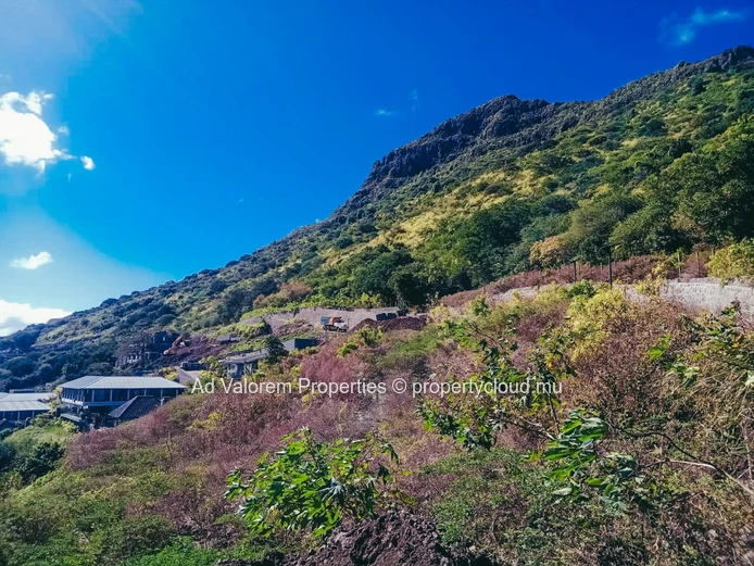 RES Villas in Black River (Sole Mandate)