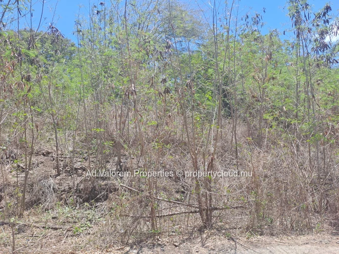 Le Morne - Exceptional Opportunity: Dream Land for Sale in a Privileged Setting
