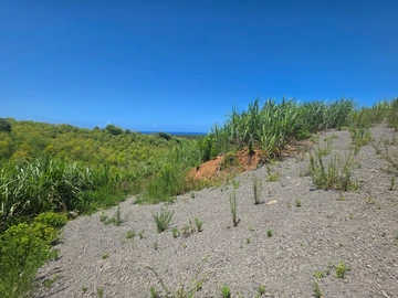 Agricultural Land