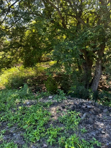 ?? Exceptional Plot of Land – Domaine de Palmyre, Rivière Noire