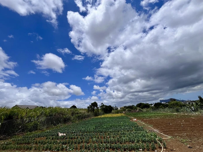 Residential Land for Sale - 780 m² (18 perches)