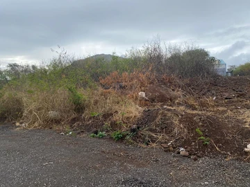 Residential Land