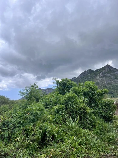 Residential Land for Sale - 780 m² (18 perches)