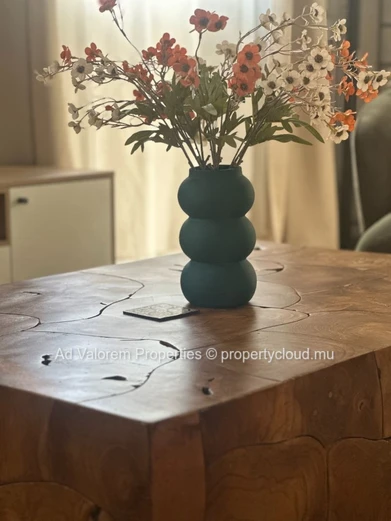 ?? Tastefully Renovated House for Rent – Cascavelle