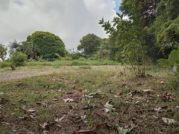 Residential Land