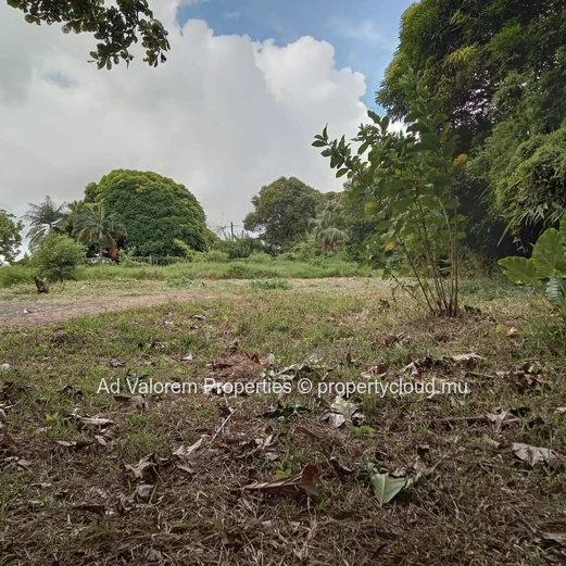 Residential Land for Sale in Olivia