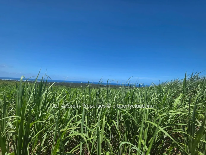 Large Agricultural Land for Sale 
