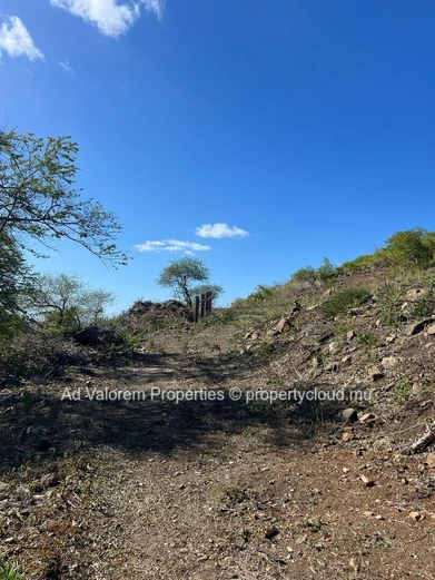 Land for sale in Rivière Noire.