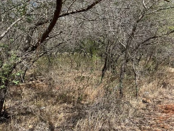 Residential Land