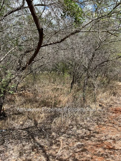 Land for sale in Black River